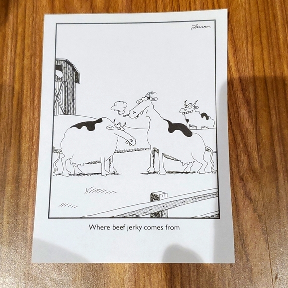 Eddie Bauer swing plaid jacket, Med. - Picture 9 of 9